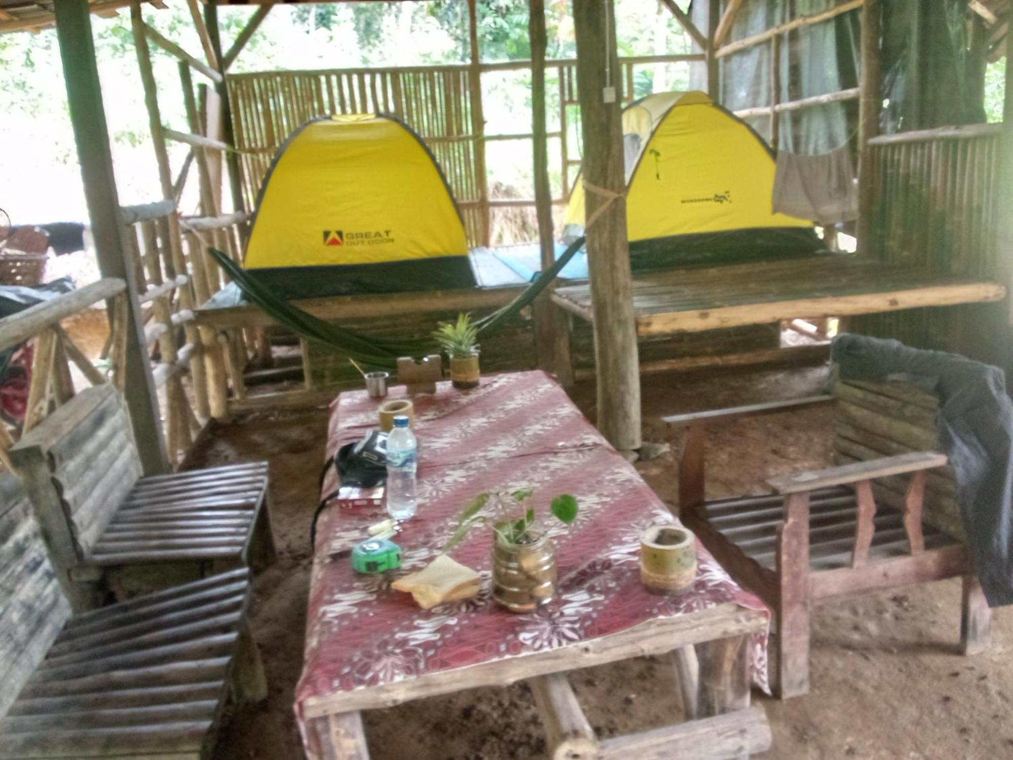 Landak River Guest House Only Trekking With Us بوكيت لاوانج المظهر الخارجي الصورة
