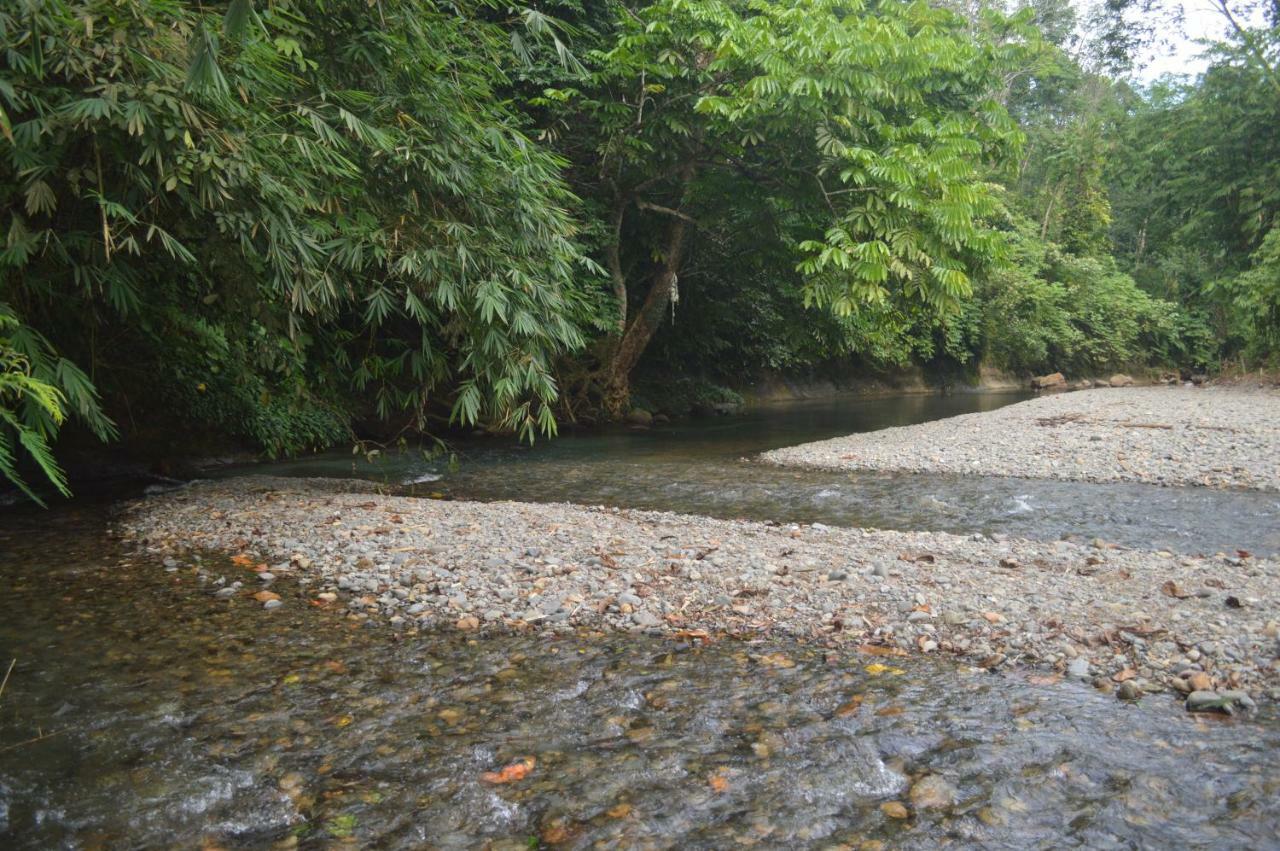 Landak River Guest House Only Trekking With Us بوكيت لاوانج المظهر الخارجي الصورة