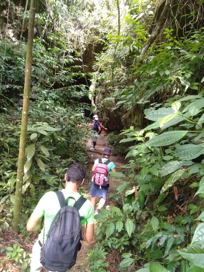 Landak River Guest House Only Trekking With Us بوكيت لاوانج المظهر الخارجي الصورة