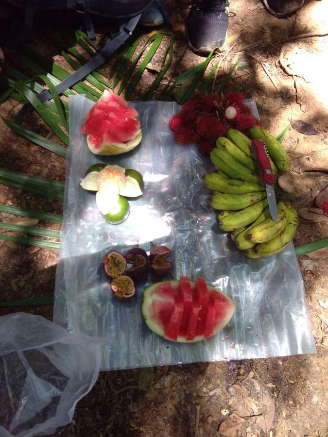 Landak River Guest House Only Trekking With Us بوكيت لاوانج المظهر الخارجي الصورة